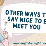 Other ways to say nice to e meet you
